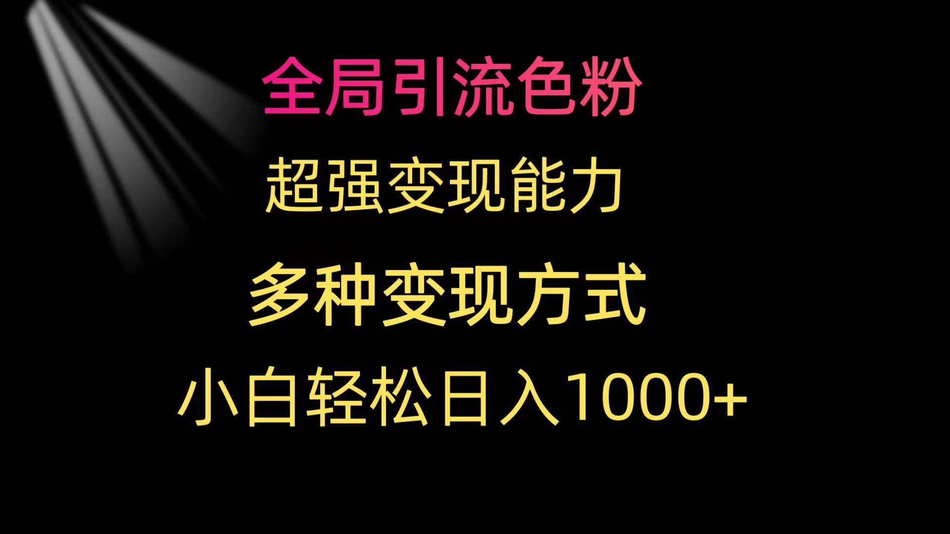 全局引流色粉 超强变现能力 多种变现方式 小白轻松日入1000+-蓝海无涯