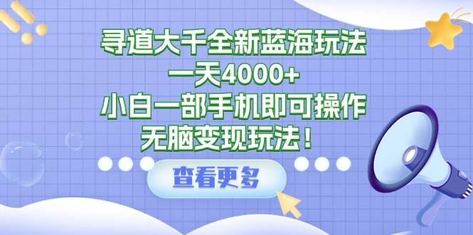 寻道大千全新蓝海玩法，一天4000+，小白一部手机即可操作，无脑变现玩法！-蓝海无涯