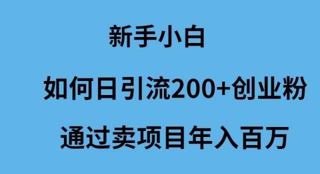 新手小白如何日引流200+创业粉通过卖项目年入百万-蓝海无涯