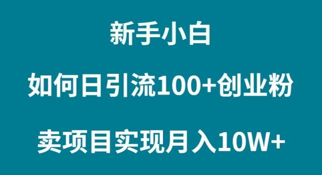 新手小白如何通过卖项目实现月入10W+-蓝海无涯