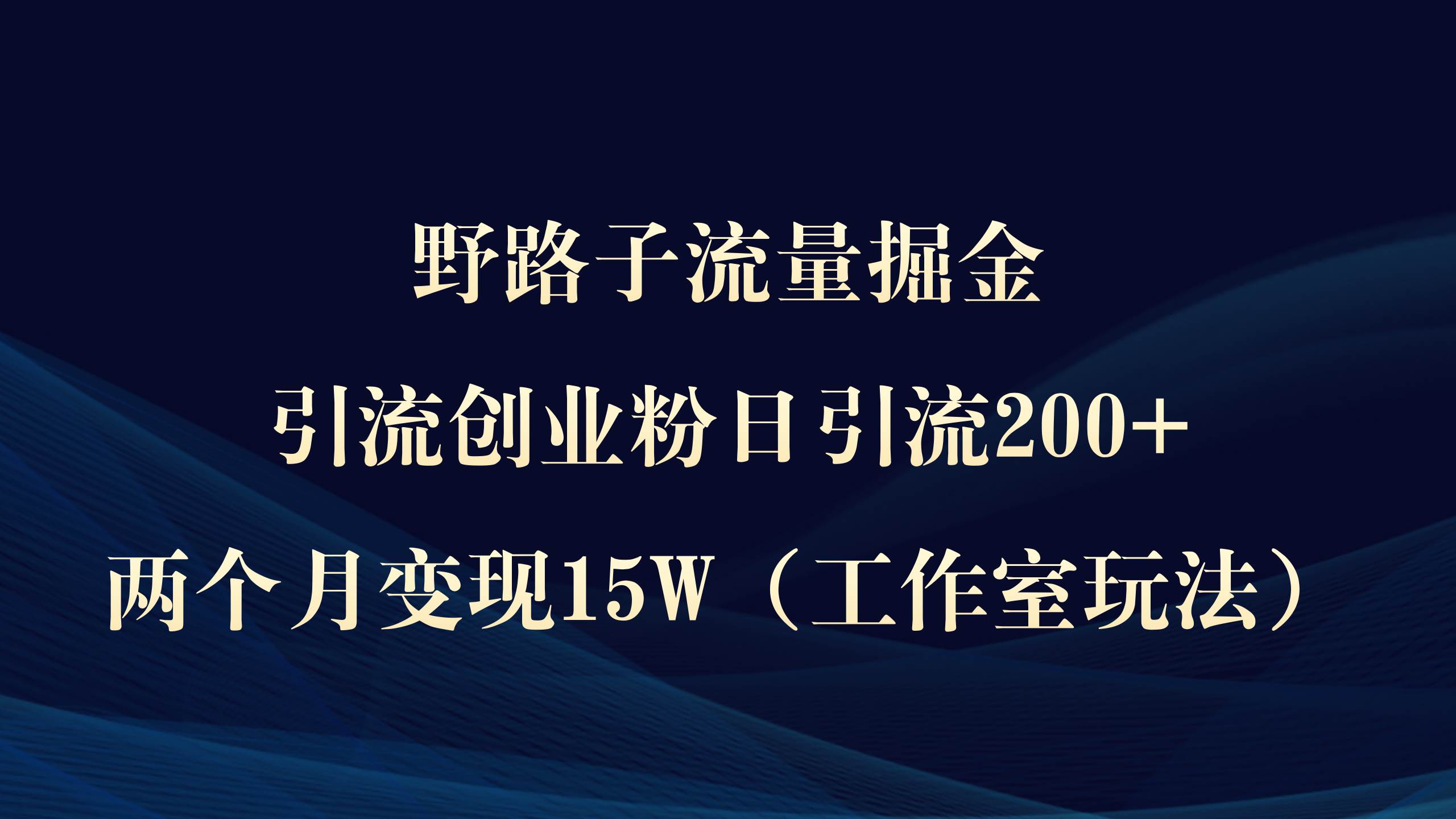 野路子流量掘金，引流创业粉日引流200+，两个月变现15W（工作室玩法））-蓝海无涯