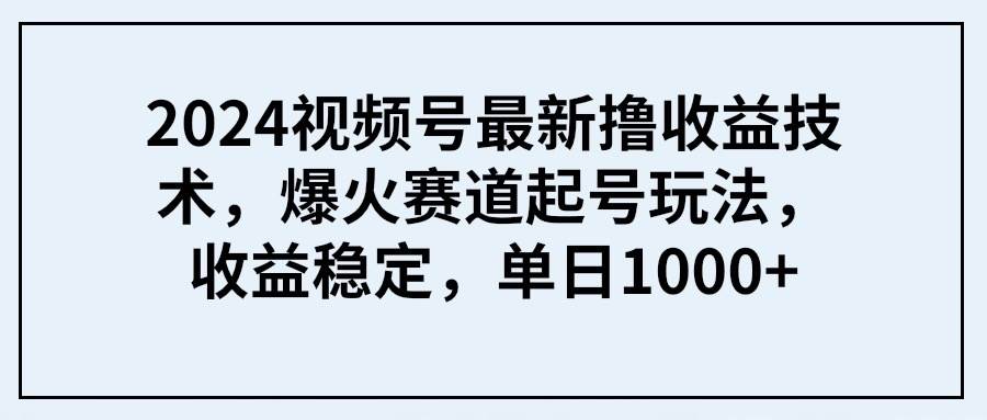 2024视频号最新撸收益技术，爆火赛道起号玩法，收益稳定，单日1000+-蓝海无涯