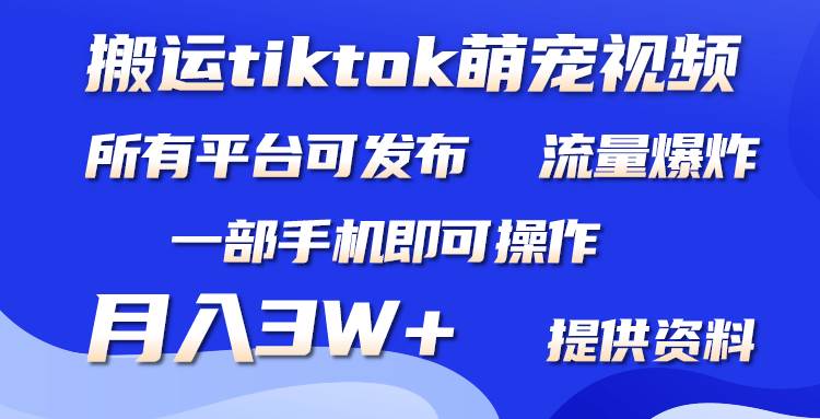 搬运Tiktok萌宠类视频，一部手机即可。所有短视频平台均可操作，月入3W+-蓝海无涯