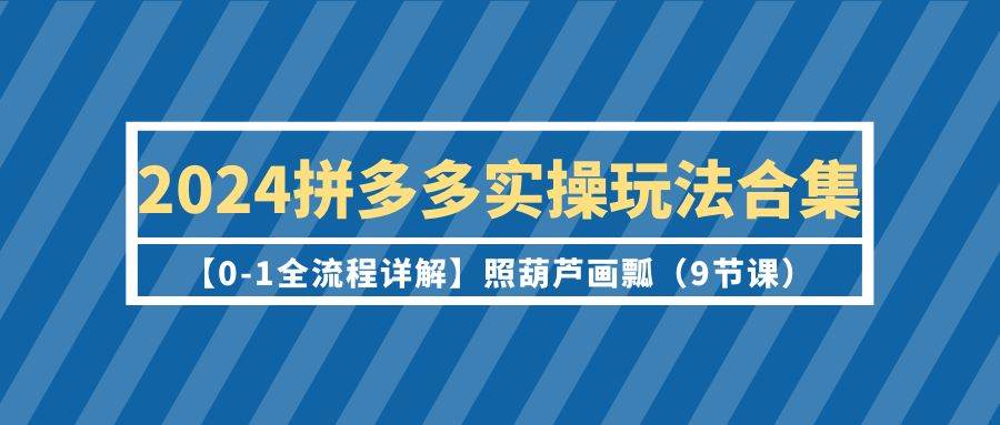 2024拼多多实操玩法合集【0-1全流程详解】照葫芦画瓢（9节课）-蓝海无涯