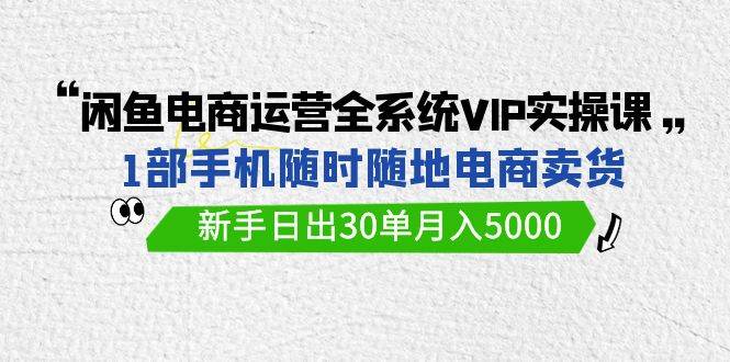 闲鱼电商运营全系统VIP实战课，1部手机随时随地卖货，新手日出30单月入5000-蓝海无涯