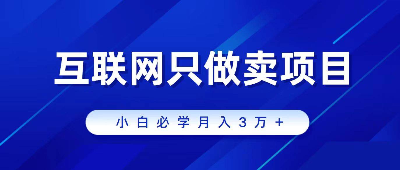 互联网的尽头就是卖项目，被割过韭菜的兄弟们必看！轻松月入三万以上！-蓝海无涯