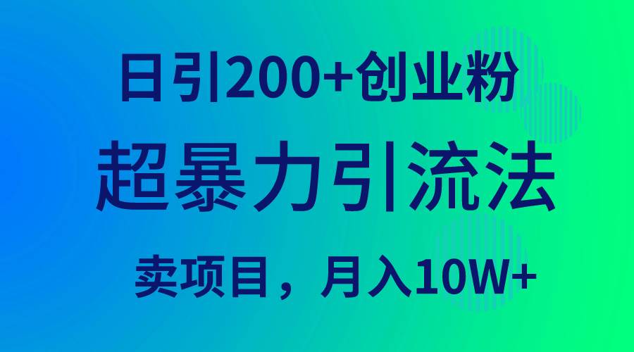 超暴力引流法，日引200+创业粉，卖项目月入10W+-蓝海无涯