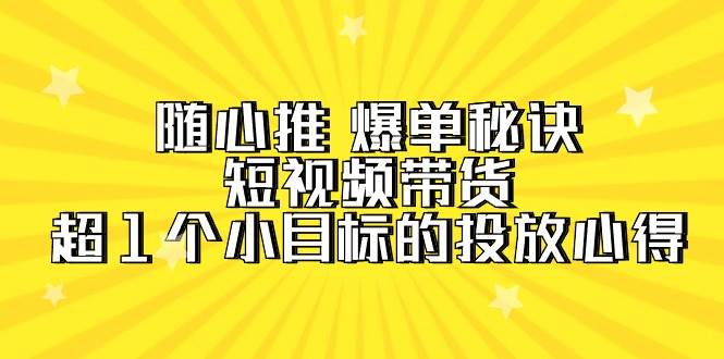 随心推 爆单秘诀，短视频带货-超1个小目标的投放心得（7节视频课）-蓝海无涯