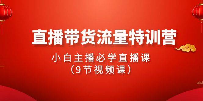 2024直播带货流量特训营，小白主播必学直播课（9节视频课）-蓝海无涯