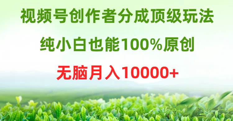 视频号创作者分成顶级玩法，纯小白也能100%原创，无脑月入10000+-蓝海无涯