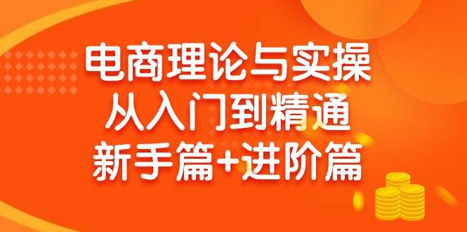 电商理论与实操从入门到精通 新手篇+进阶篇-蓝海无涯