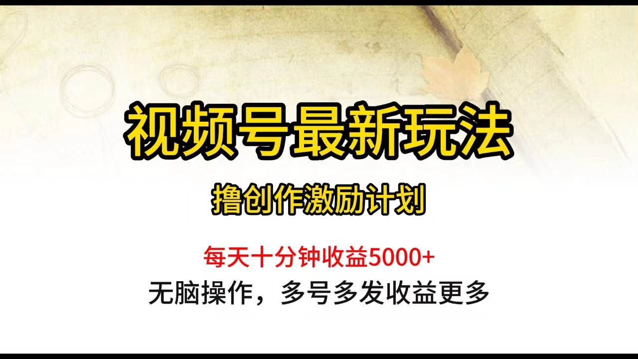 视频号最新玩法，每日一小时月入5000+-蓝海无涯