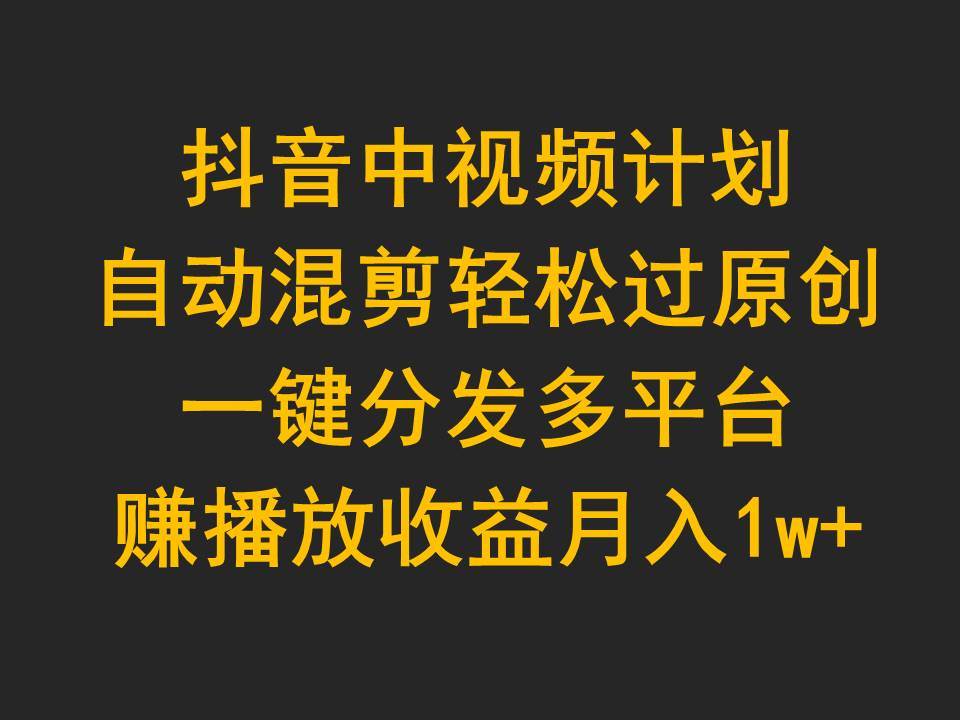 抖音中视频计划，自动混剪轻松过原创，一键分发多平台赚播放收益，月入1w+-蓝海无涯