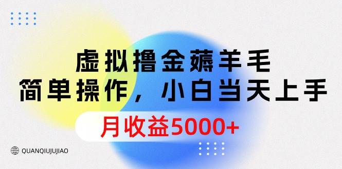 虚拟撸金薅羊毛，简单操作，小白当天上手，月收益5000+-蓝海无涯