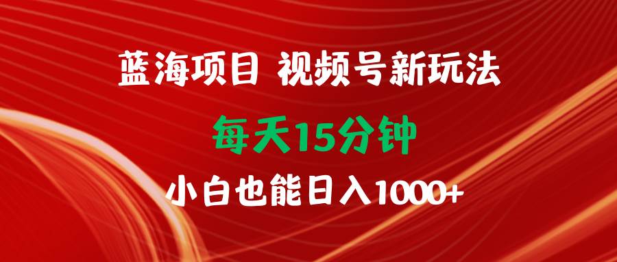 蓝海项目视频号新玩法 每天15分钟 小白也能日入1000+-蓝海无涯