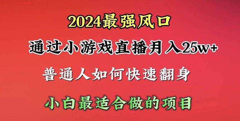 2024年最强风口，通过小游戏直播月入25w+单日收益5000+小白最适合做的项目-蓝海无涯