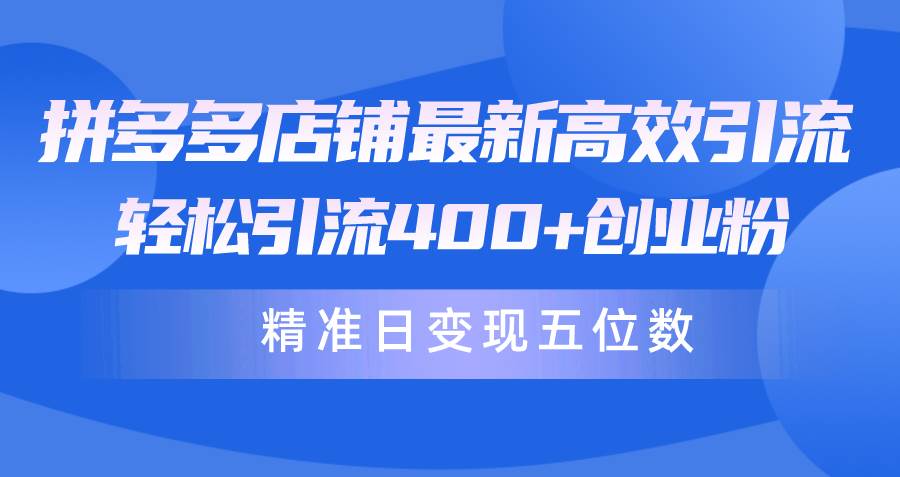 拼多多店铺最新高效引流术，轻松引流400+创业粉，精准日变现五位数！-蓝海无涯