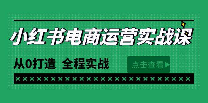 最新小红书·电商运营实战课，从0打造  全程实战（65节视频课）-蓝海无涯