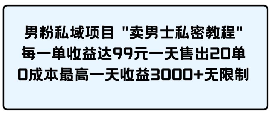 男粉私域项目 卖男士私密教程 每一单收益达99元一天售出20单-蓝海无涯