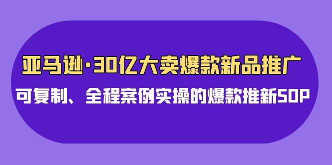 亚马逊30亿·大卖爆款新品推广，可复制、全程案例实操的爆款推新SOP-蓝海无涯