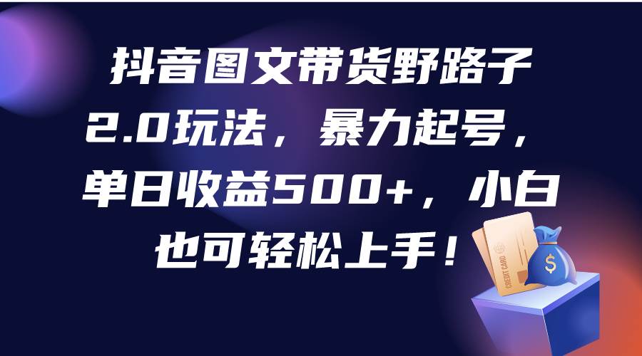 抖音图文带货野路子2.0玩法，暴力起号，单日收益500+，小白也可轻松上手！-蓝海无涯