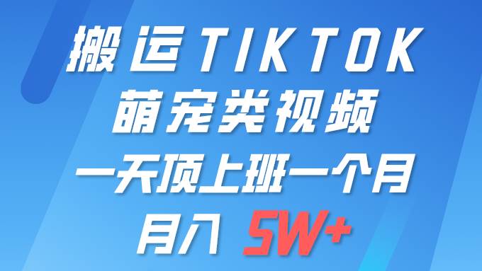 一键搬运TIKTOK萌宠类视频 一部手机即可操作 所有平台均可发布 轻松月入5W+-蓝海无涯