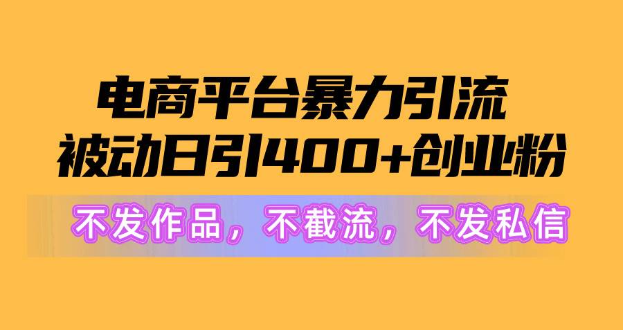 电商平台暴力引流,被动日引400+创业粉不发作品，不截流，不发私信-蓝海无涯