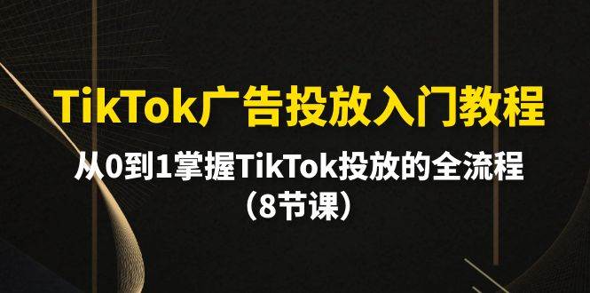 TikTok广告投放入门教程，从0到1掌握TikTok投放的全流程（8节课）-蓝海无涯