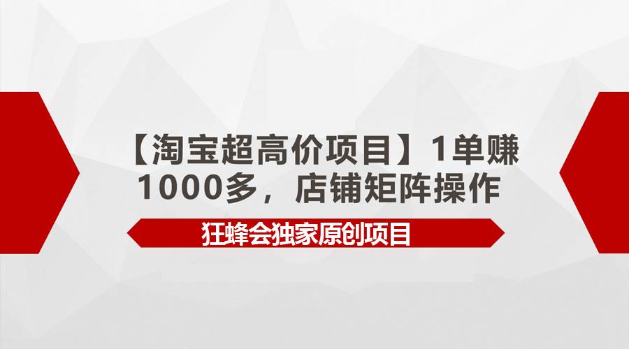 【淘宝超高价项目】1单赚1000多，店铺矩阵操作-蓝海无涯