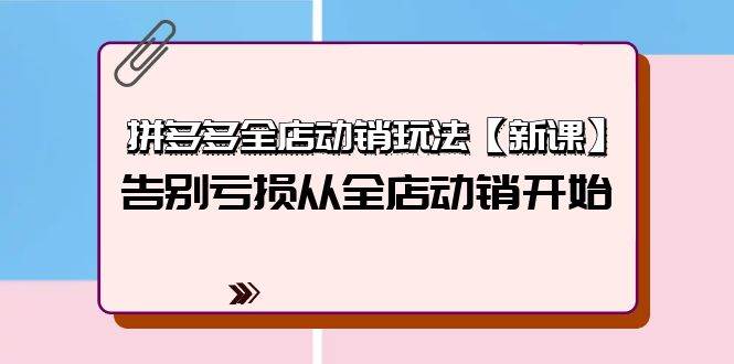 拼多多全店动销玩法【新课】，告别亏损从全店动销开始（4节视频课）-蓝海无涯