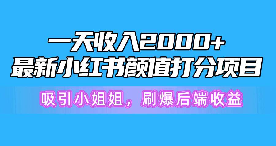 一天收入2000+，最新小红书颜值打分项目，吸引小姐姐，刷爆后端收益-蓝海无涯