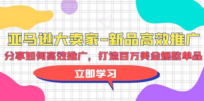 亚马逊 大卖家-新品高效推广，分享如何高效推广，打造百万美金爆款单品-蓝海无涯