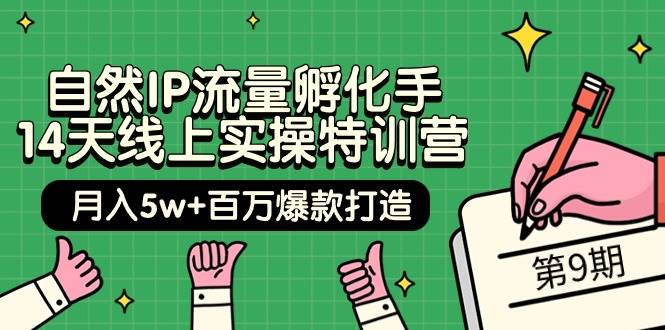 自然IP流量孵化手 14天线上实操特训营【第9期】月入5w+百万爆款打造 (74节)-蓝海无涯