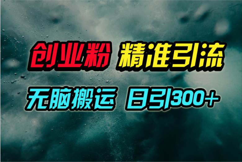 视频号纯搬运日引300+创业粉教程！-蓝海无涯