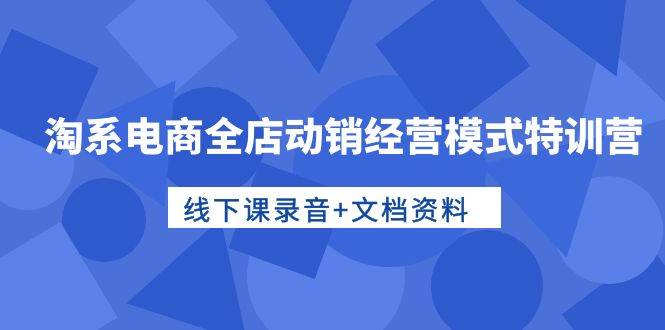 淘系电商全店动销经营模式特训营，线下课录音+文档资料-蓝海无涯