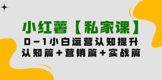 小红薯【私家课】0-1玩赚小红书内容营销，认知篇+营销篇+实战篇（11节课）-蓝海无涯