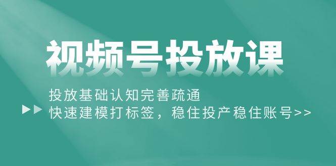 视频号投放课：投放基础认知完善疏通，快速建模打标签，稳住投产稳住账号-蓝海无涯