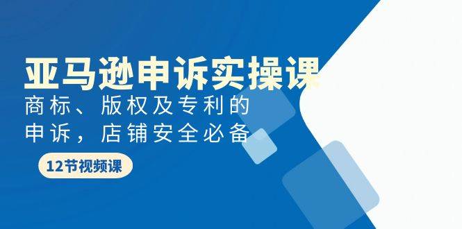 亚马逊-申诉实战课，商标、版权及专利的申诉，店铺安全必备-蓝海无涯