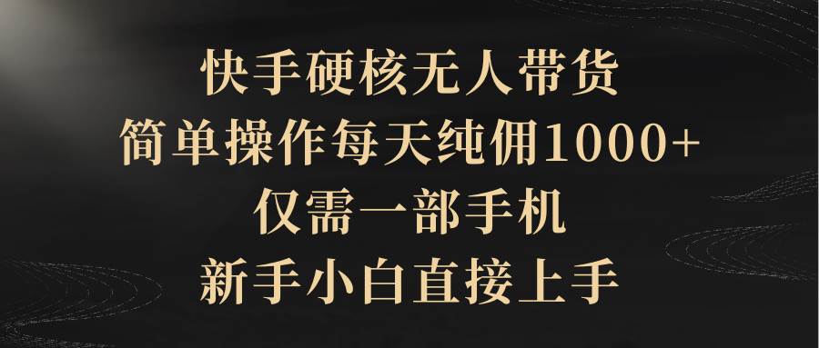 快手硬核无人带货，简单操作每天纯佣1000+,仅需一部手机，新手小白直接上手-蓝海无涯