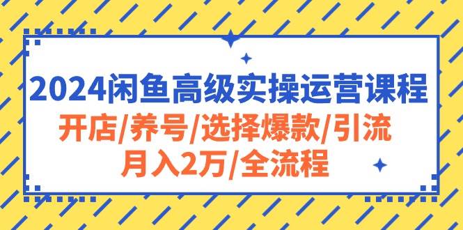 2024闲鱼高级实操运营课程：开店/养号/选择爆款/引流/月入2万/全流程-蓝海无涯