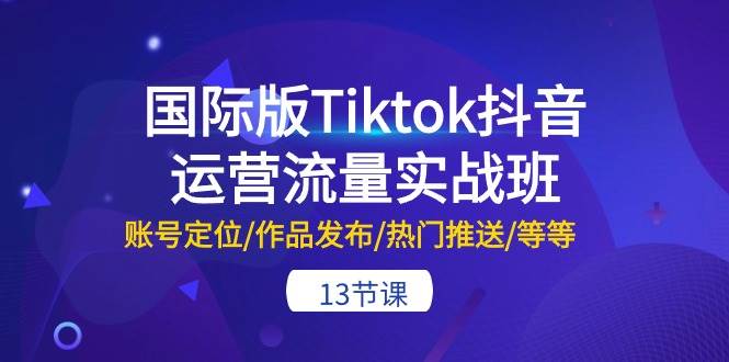 国际版Tiktok抖音运营流量实战班：账号定位/作品发布/热门推送/等等-13节-蓝海无涯