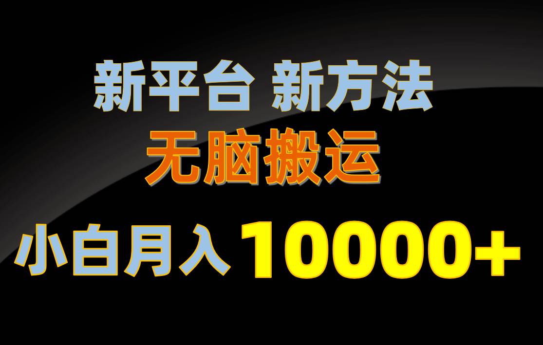 新平台新方法，无脑搬运，月赚10000+，小白轻松上手不动脑-蓝海无涯