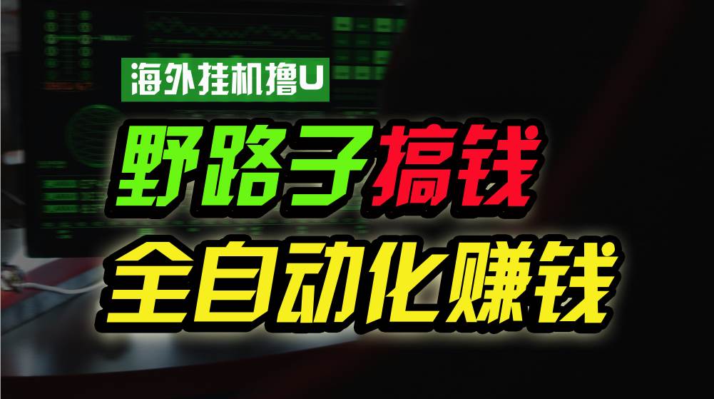 海外挂机撸U新平台，日赚8-15美元，全程无人值守，可批量放大，工作室内…-蓝海无涯