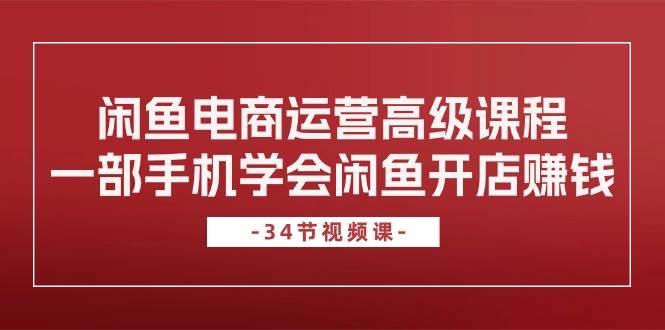 闲鱼电商运营高级课程，一部手机学会闲鱼开店赚钱（34节课）-蓝海无涯