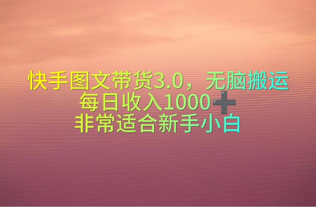 快手图文带货3.0，无脑搬运，每日收入1000＋，非常适合新手小白-蓝海无涯