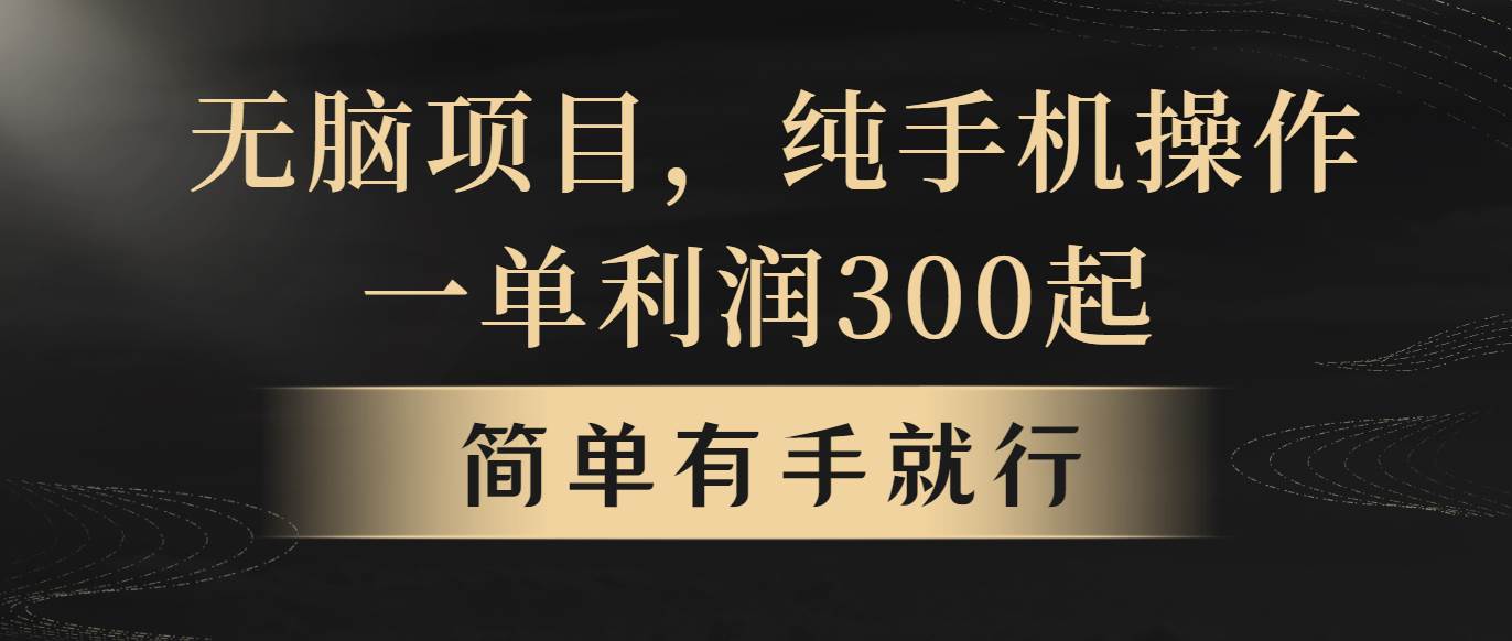 无脑项目，一单几百块，轻松月入5w+，看完就能直接操作-蓝海无涯