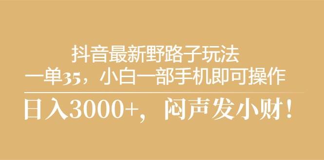 抖音最新野路子玩法，一单35，小白一部手机即可操作，，日入3000+，闷…-蓝海无涯