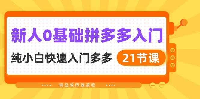 新人0基础拼多多入门，纯小白快速入门多多（21节课）-蓝海无涯