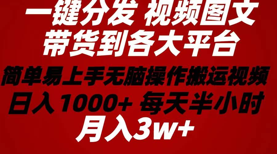 2024年 一键分发带货图文视频  简单易上手 无脑赚收益 每天半小时日入1…-蓝海无涯