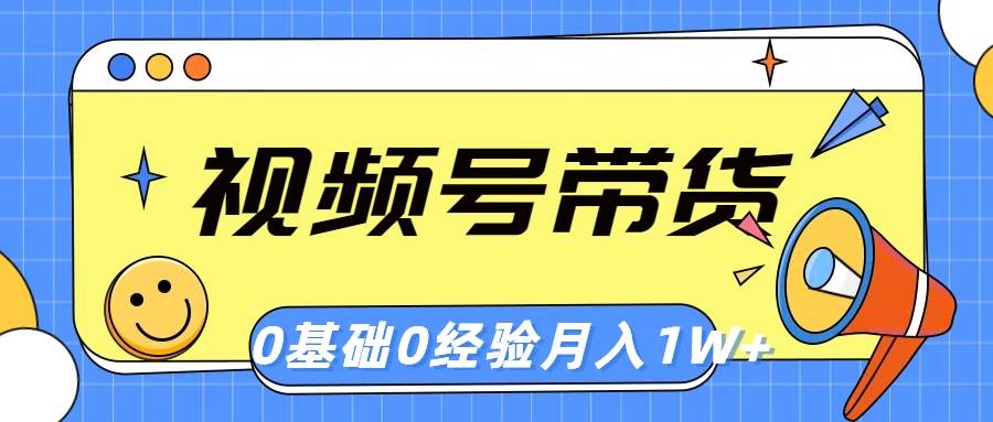 视频号轻创业带货，零基础，零经验，月入1w+-蓝海无涯